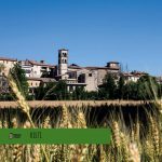 Trekking Urbano