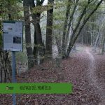 Trekking Urbano