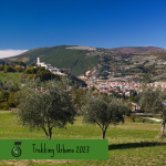 Trekking Urbano 2023