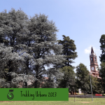 Trekking Urbano 2023